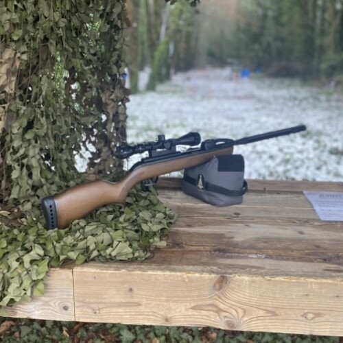 Gamo Varmint Swarm .22