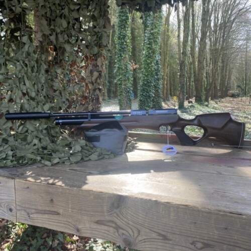 HW100X-T Walnut .177